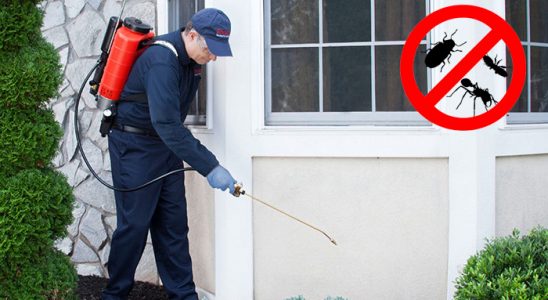 Sivrice Pire İlaçlama böcek ilaçlama ve haşere kontrolü — ilaclama-tr.com